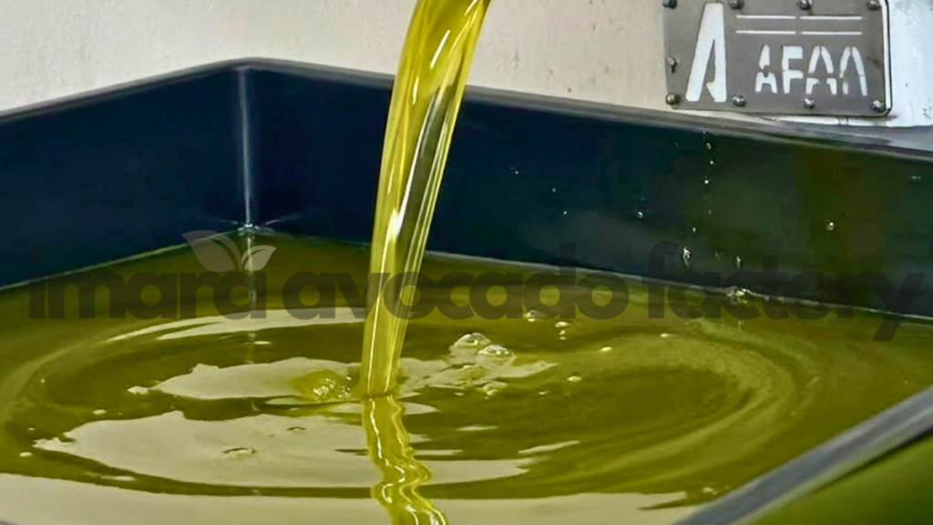 avocado oil extraction process