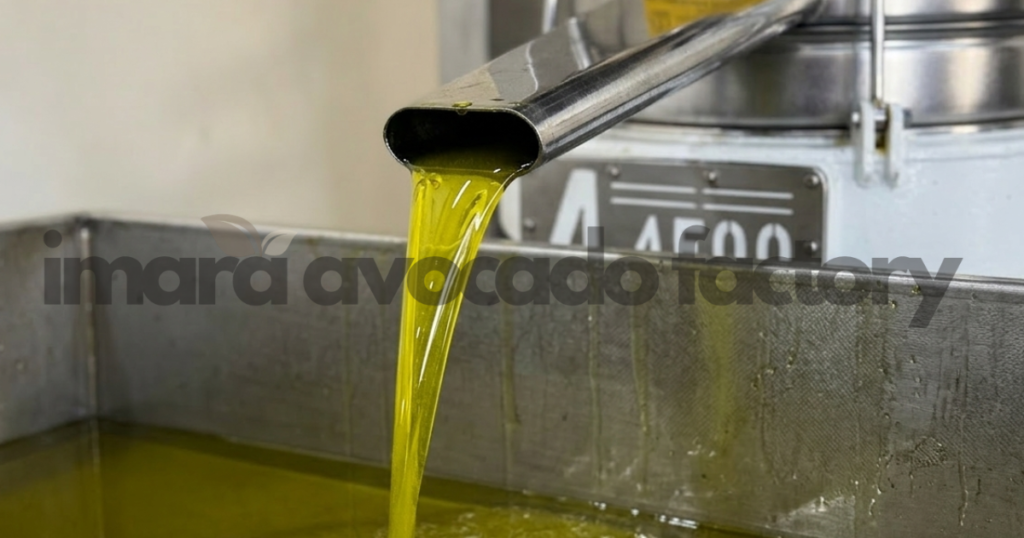 avocado oil companies in Kenya