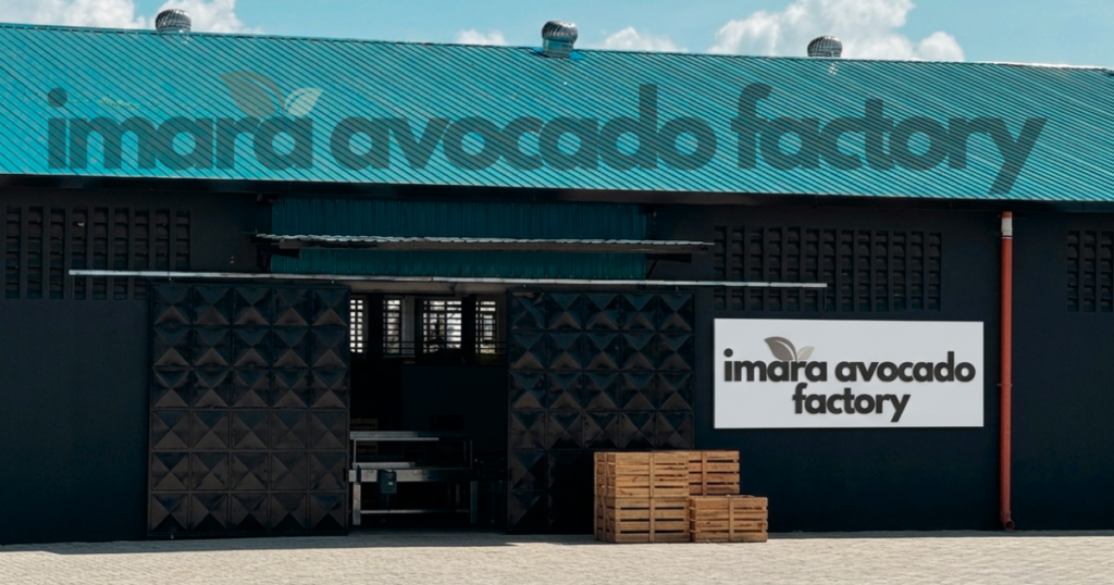 avocado oil manufacturers Kenya