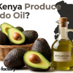 Does Kenya Produce Avocado Oil Facts You Should Know