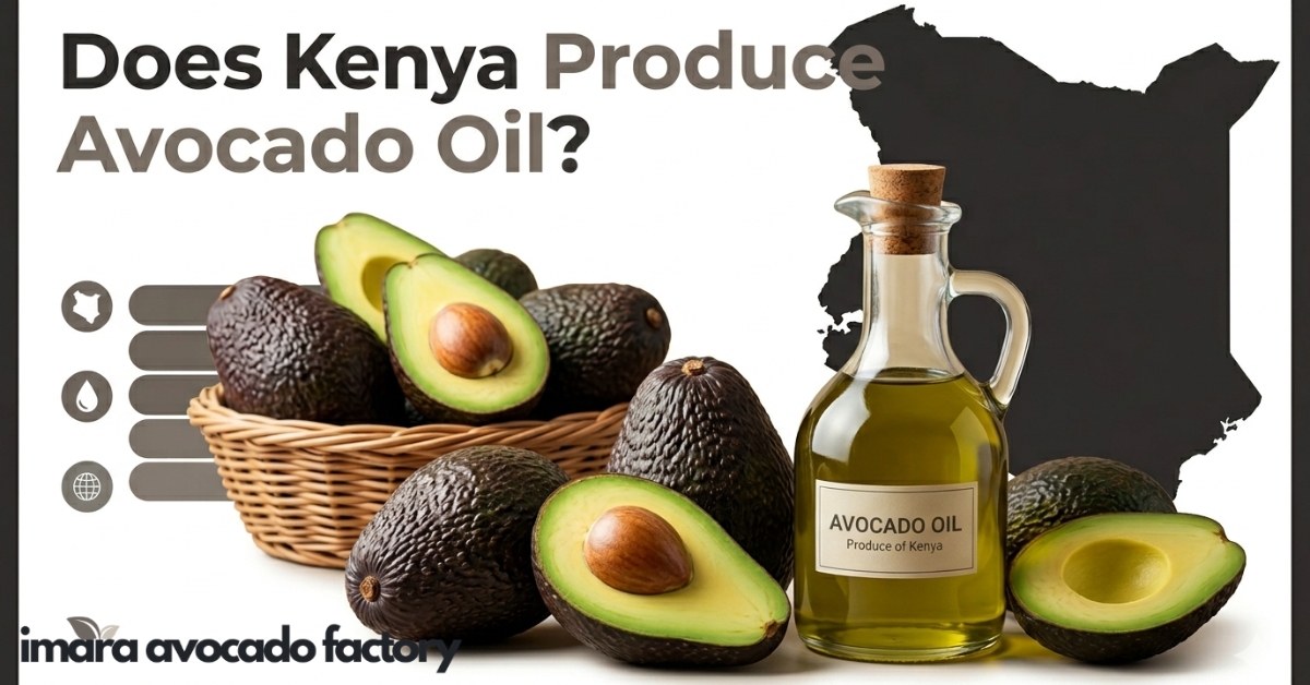 Does Kenya Produce Avocado Oil Facts You Should Know