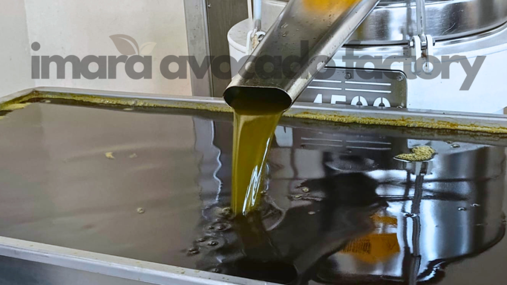 Avocado oil production process from pulp or seed