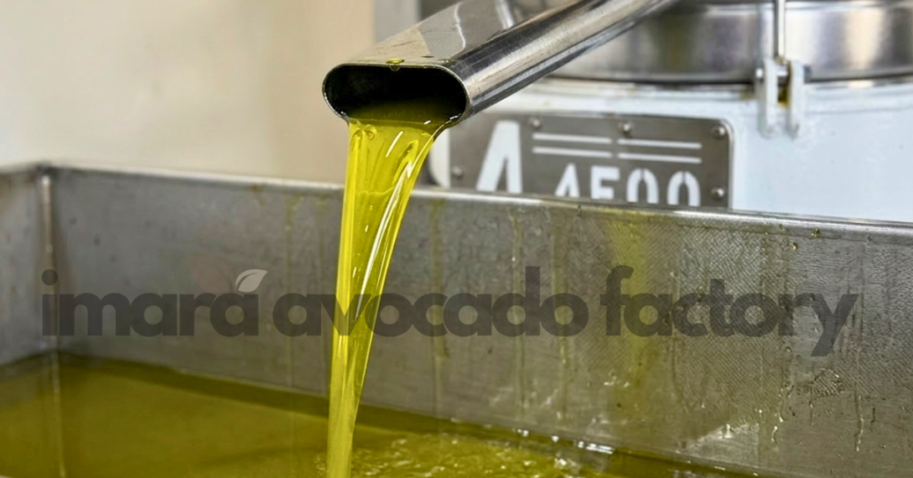 Avocado oil manufacturers in Kenya