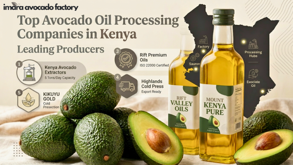 Avocado Oil Processing Companies In Kenya
